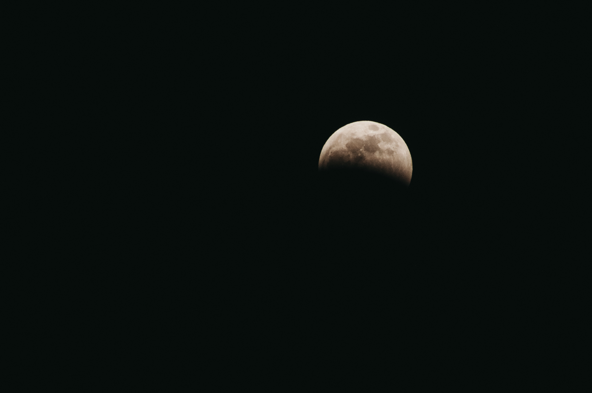 DSC_0559-2