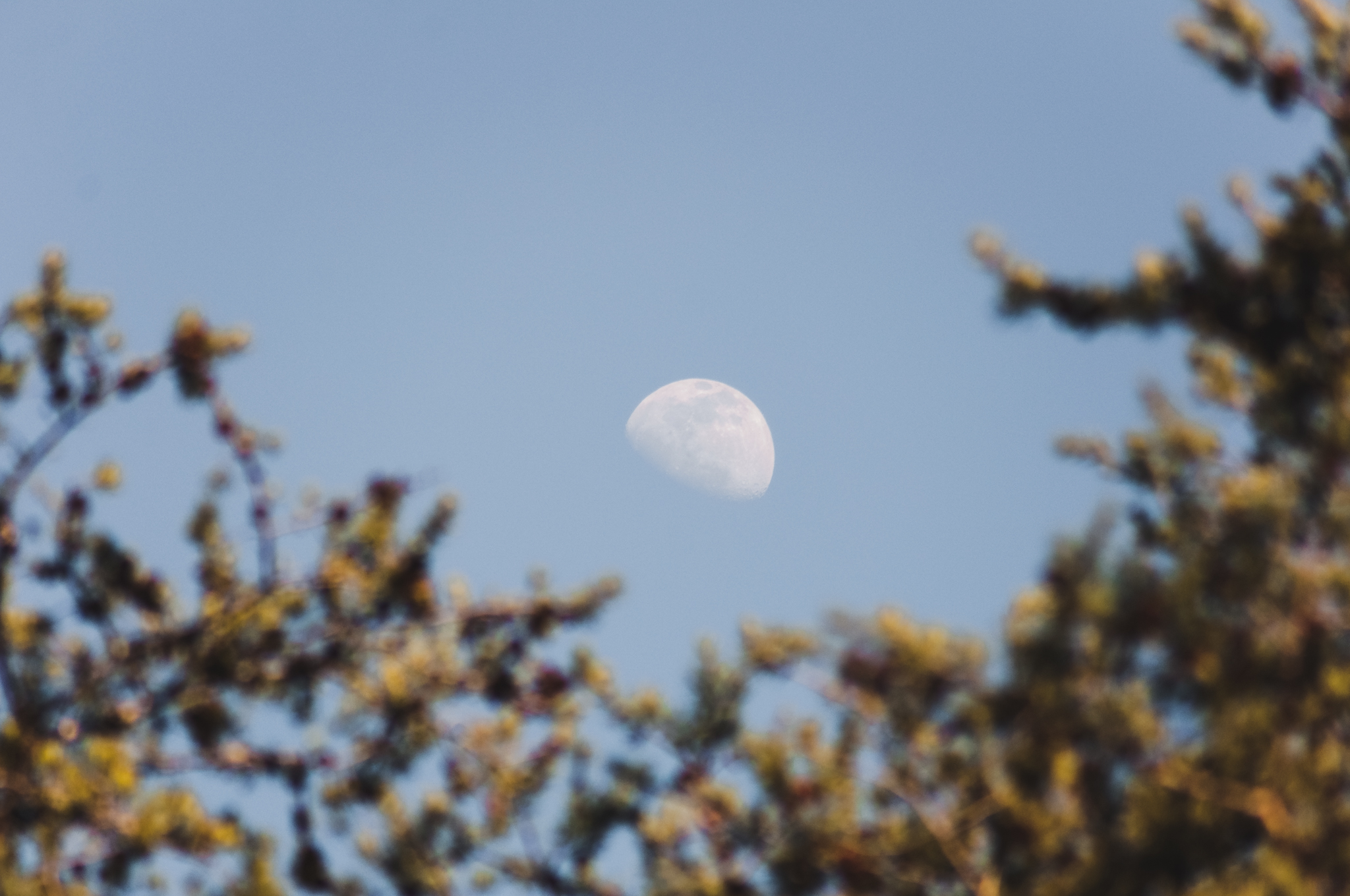 DSC_4475-2