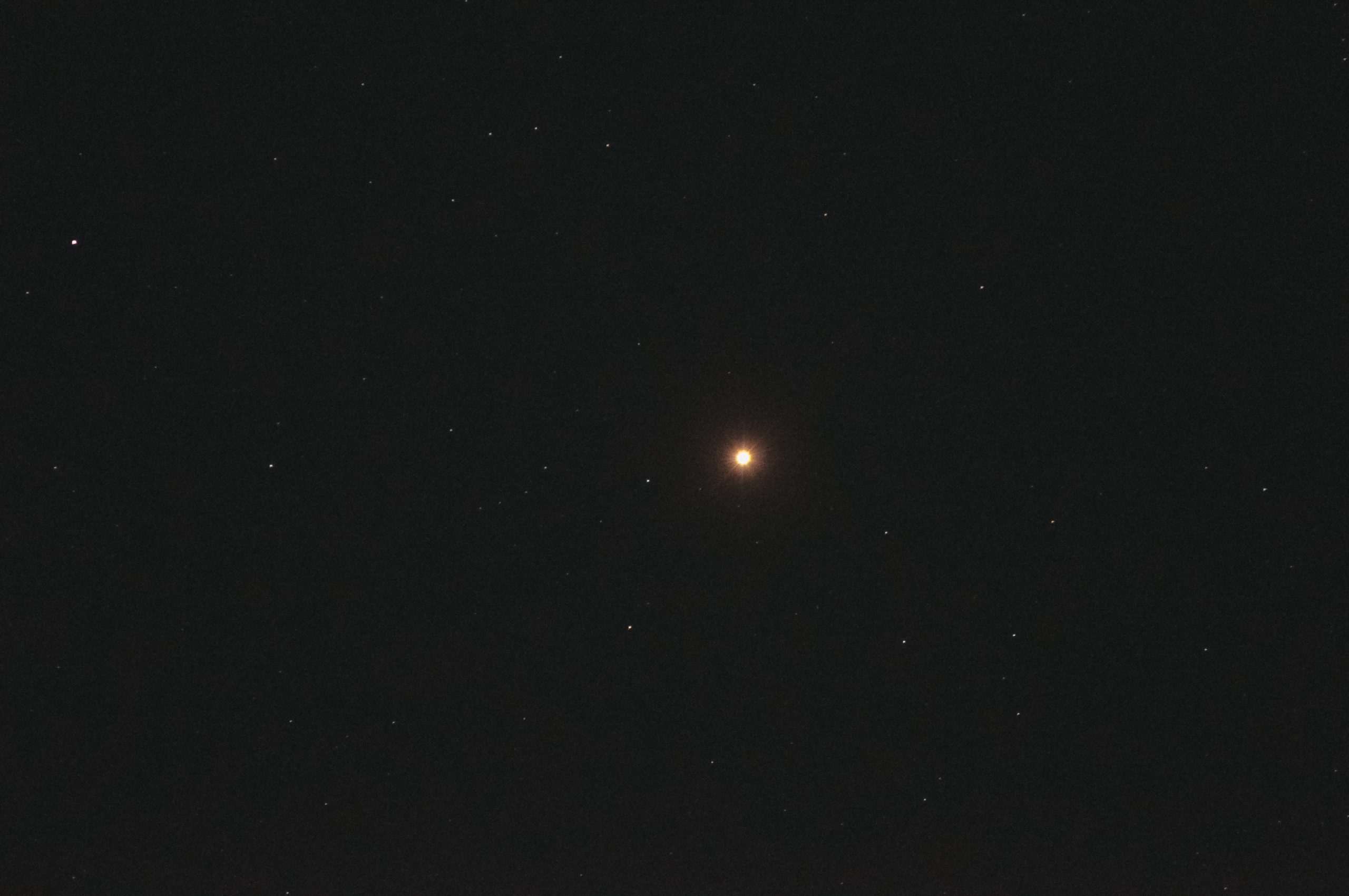 DSC_7403