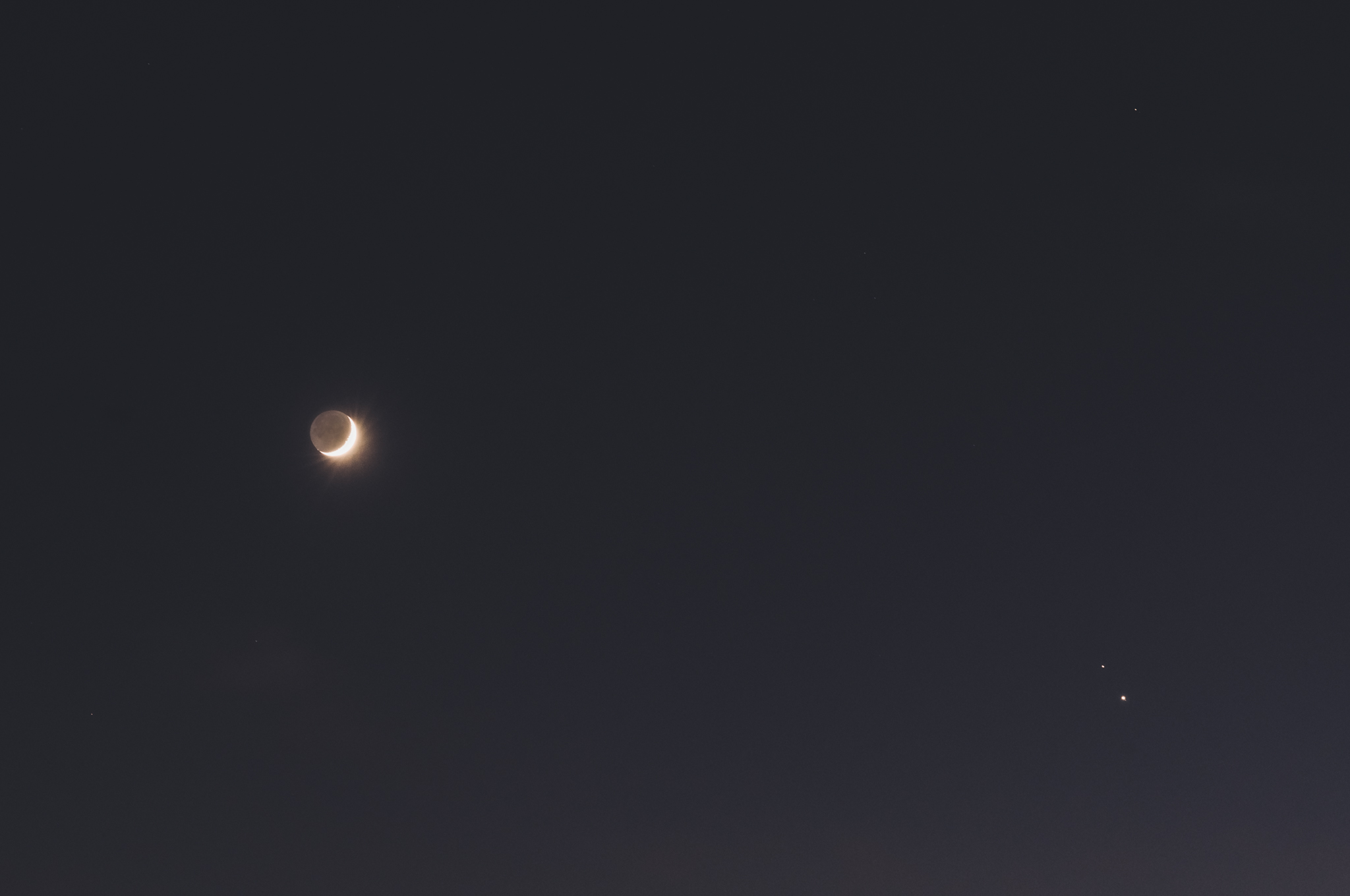 DSC_8220