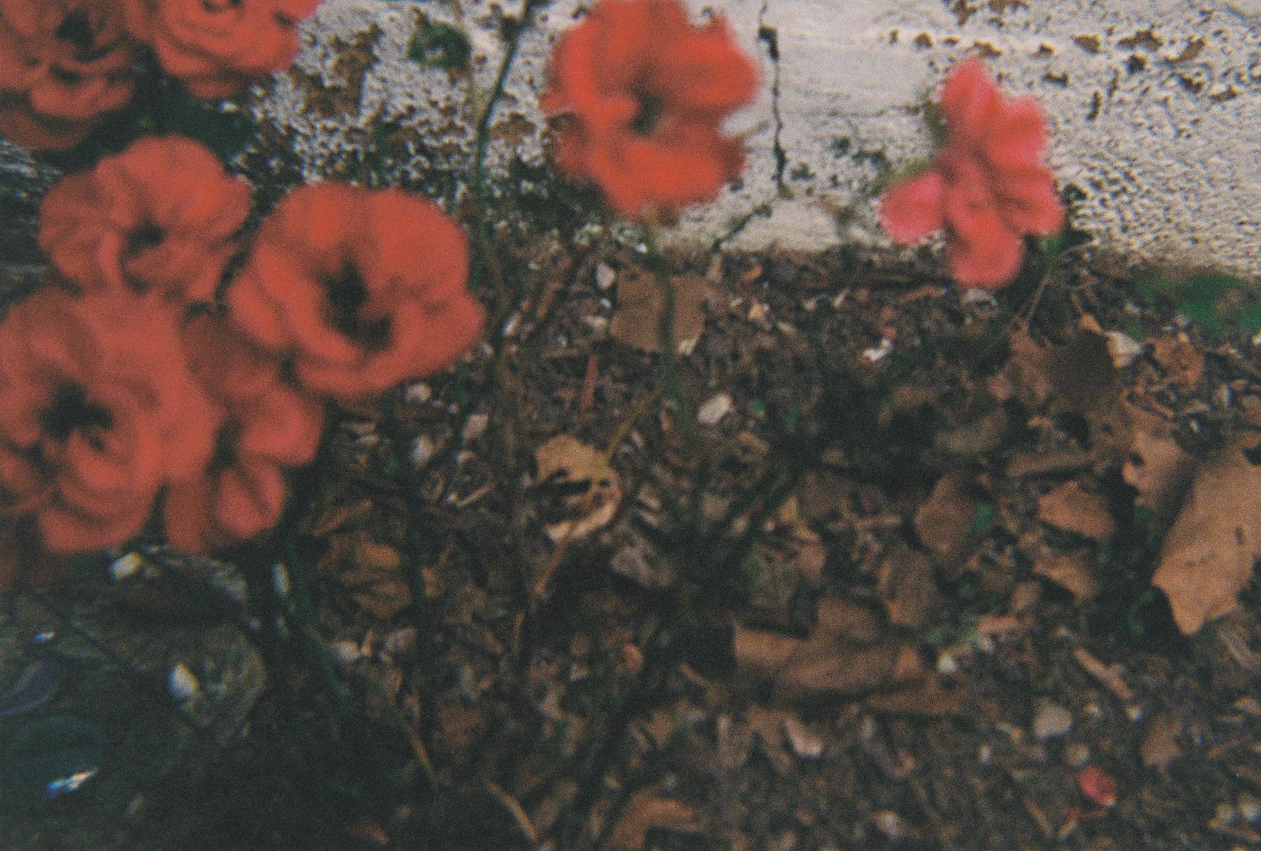 FH010011